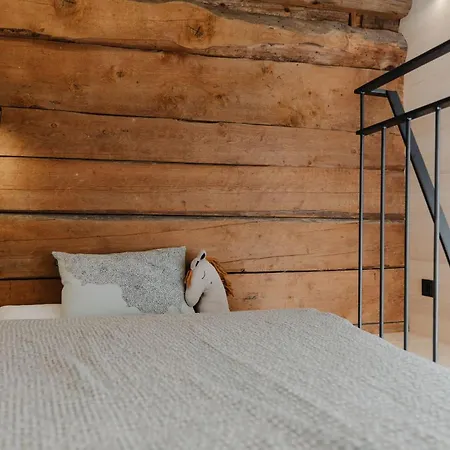 Vipp Montafon Haus * Vandans