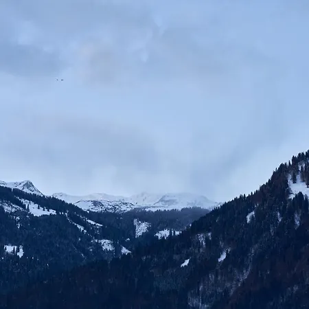 Ferienhaus Vipp Montafon Haus *
